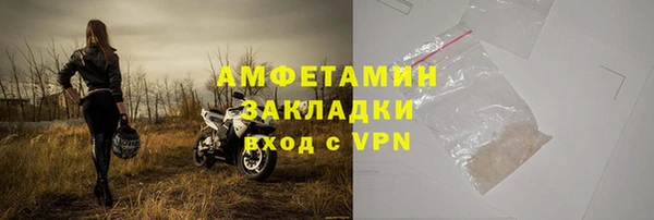индика Сатка