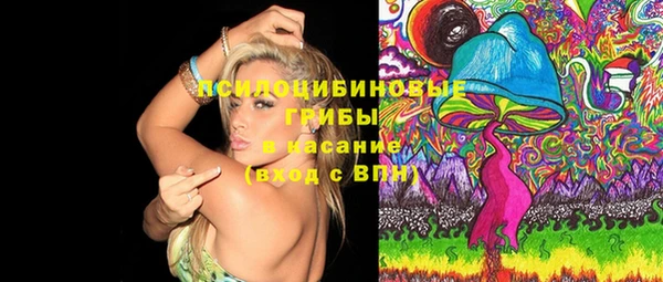 ECSTASY Бронницы