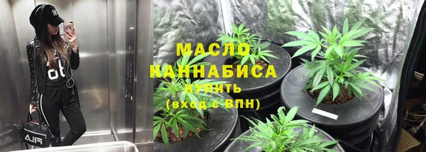 apvp Бородино
