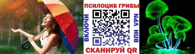 Псилоцибиновые грибы мицелий Грайворон
